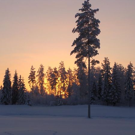 Villa Tiirinkallio Nilsiä Room photo