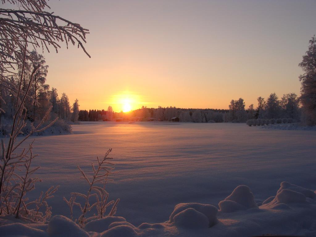 Villa Tiirinkallio Nilsiä Room photo