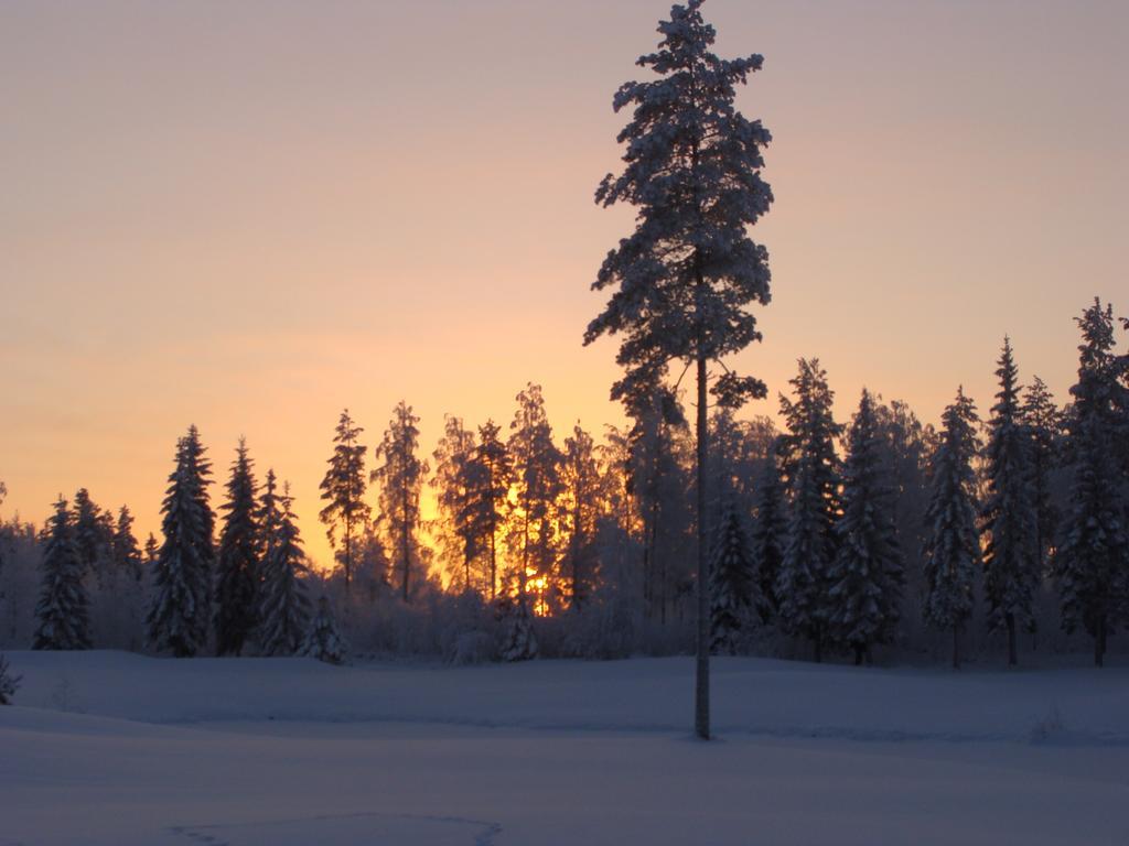 Villa Tiirinkallio Nilsiä Room photo